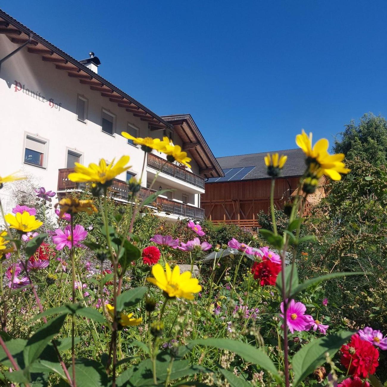카스텔로토 Planitzhof 빌라 외부 사진